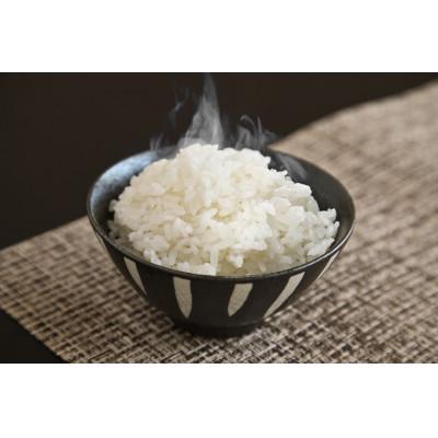 ふるさと納税 糸魚川市 能生米コシヒカリ 5kg 白米 |  | 03