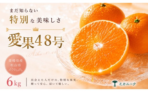 【知る人ぞ知る】 幻の新品種 【愛果48号】 6kg 愛媛県産 国産 【2027年2月下旬頃から順次発送】  | 日本 みかん 愛果48号 あいか  蜜柑 アイカ 柑橘 果物 愛媛のみかん くだもの 贈答 フルーツ ご家庭用 数量限定 愛媛県産 ミカン 愛媛県 松山市