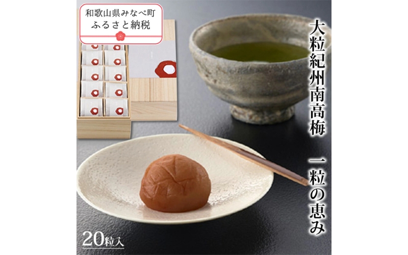 一粒の恵み 塩分6%【kishusogo009】