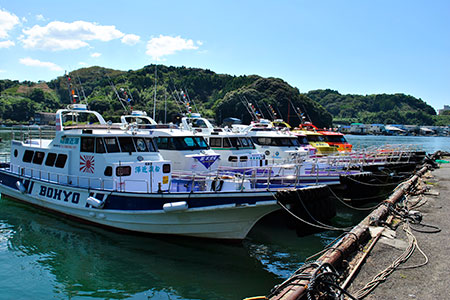 沖 島・鵜来島磯釣り券 釣り券