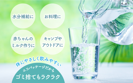 【山梨　道志村の天然水】doshiwater (2l×6袋×2箱)　初回のみ専用ウォーターケース付【10回定期】DSF005