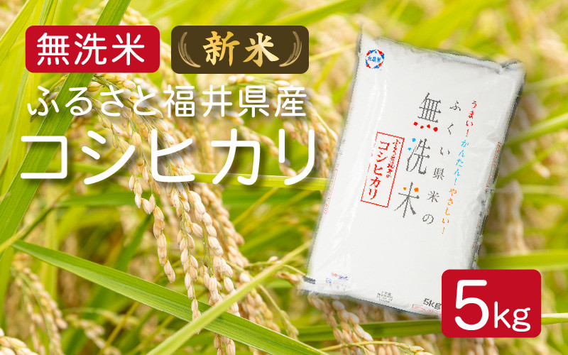 
            [051-a003] 新米 令和6年度産 無洗米 ふるさと福井県産 コシヒカリ 精米 5kg（無地のし対応可）【米 お取り寄せ ギフト 贈り物お中元 ギフト 贈り物 プレゼント】
          