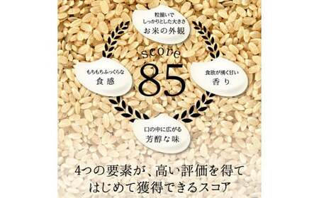 富山県ブランド米 富富富 玄米 10kg ふふふ ブランド米 国産 米 お米 日本米 ギフト 贈り物 備蓄 防災 食品 陽咲玲 はるざれ F6T-947