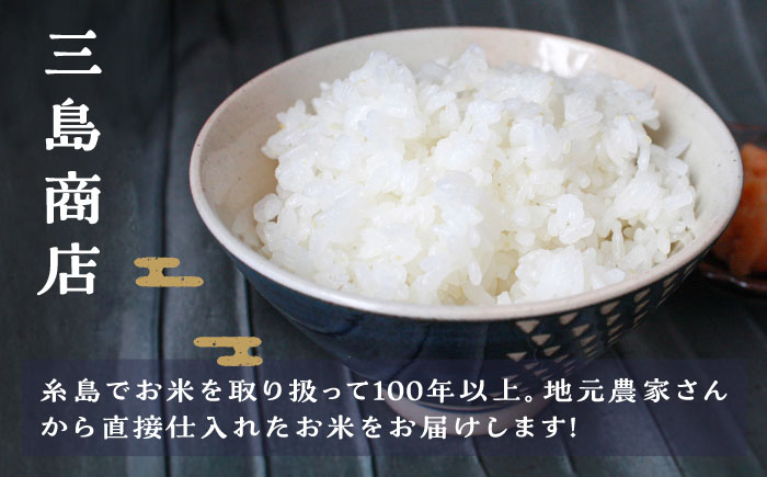 【令和7年産新米】 糸島産 夢つくし 10kg 糸島市 / 三島商店 [AIM002] 米 白米