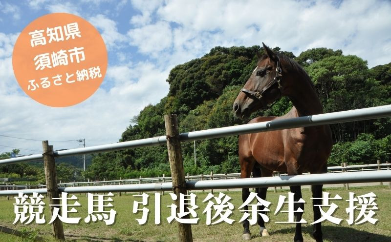 
競走馬 支援 100万円 コース 黒潮友馬会応援 1000000円 特典 ポストカード 競馬 サラブレッド 引退 高知県 須崎市
