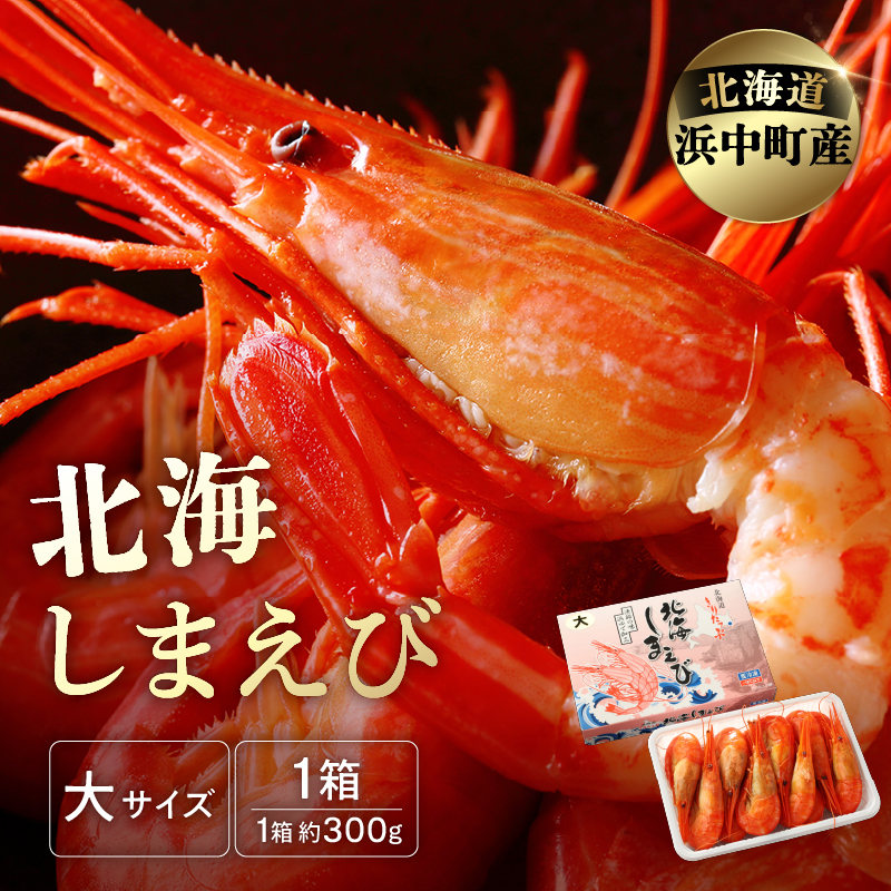 北海しまえび(大)　300g×1箱(13尾前後)_H0001-1221