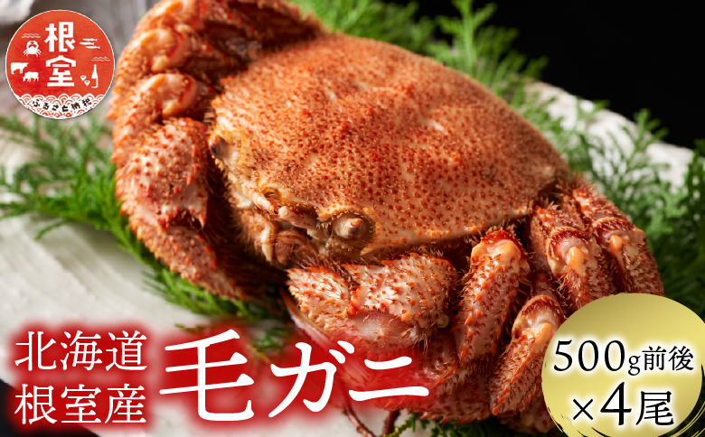 【北海道根室産】毛がに500g前後×4尾 D-21004