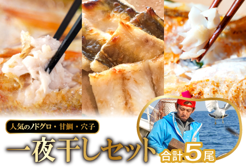 しまねの贅沢三昧！のどぐろ・甘鯛・穴子一夜干し【干物セット のどぐろ干物 200～260g×2尾 甘鯛干物 326～350g×1尾 穴子干物 50cm前後×2尾 干物 無添加 真空パック 父の日 母の