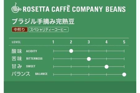 コーヒー豆 100g×3種 300g セット ロゼッタ コーヒー 阿波渦潮 港ブレンド 自家製焙煎