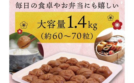 最高級紀州南高梅・大粒うす味梅干し 1.4kg【ご家庭用】【inm300】_イメージ4