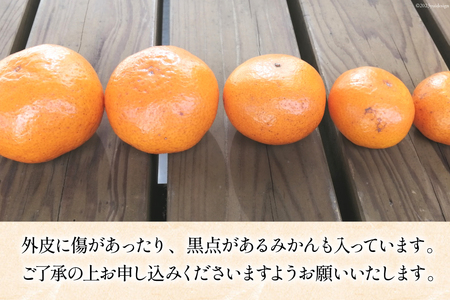【期間限定発送】 みかん 訳あり 日向ひまわり 石地みかん 2S ～ L サイズ 5kg [ひまわり農園 宮崎県 日向市 452061493] ミカン 小玉 大玉 柑橘 家庭用 数量限定