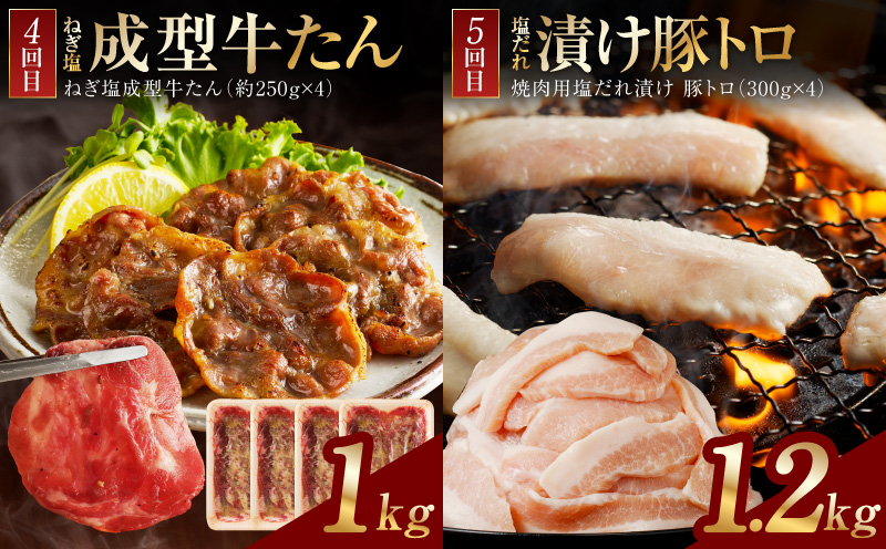 アキラ商店 肉三昧 わくわく 定期便 全5回【毎月配送コース お楽しみ 焼肉 ていきびん 焼くだけ 小分け BBQ やきにく 数量限定】 099Z608
