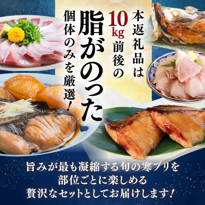 【先行予約】若狭・日向の天然寒ブリ 脂たっぷり 部位ごと食べ比べ ALL半身分セット (腹＋背＋トロ+アラ+カマ 計4kg前後）【2026年12月下旬以降順次発送】寒ぶり [m17-j004]