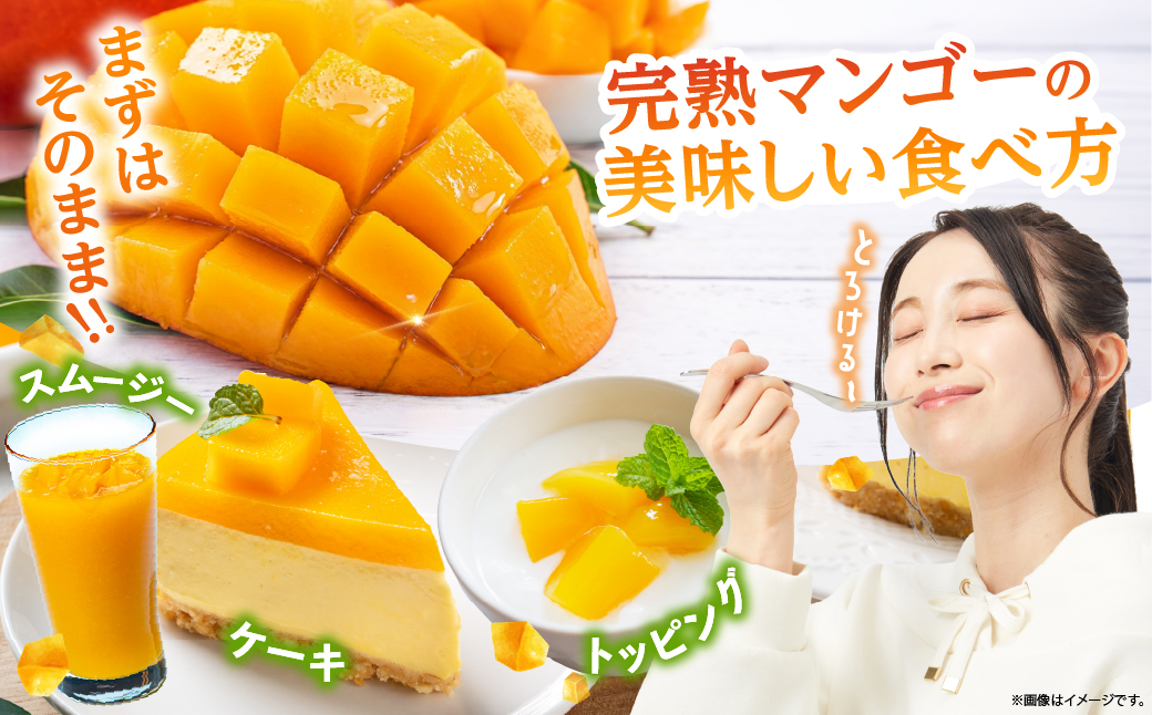 【訳あり】完熟マンゴー 2L×5玉（パック）【濃厚 高級 宮崎 果物 フルーツ 贈答 ギフト 甘い 先行受付 送料無料】【JA綾町】_A0114-1081