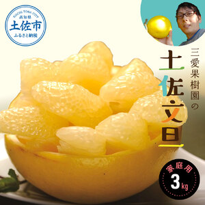 【先行予約】三愛果樹園の土佐文旦　家庭用　約3kg / 土佐文旦 みかん 柑橘 ぶんたん ブンタン 果物 フルーツ 〈2027年2月上旬から順次発送〉【三愛果樹園】 [BQAO003]