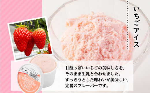 香料・着色料不使用！３種の食べ比べセット９個 (信州りんごアイス・いちごアイス・ブルーベリーアイス）100ml りんご いちご スイーツ アイスクリーム アイス アソート 詰め合わせ デザート アイス