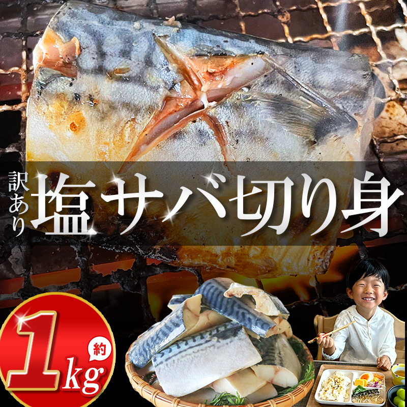 訳あり 塩サバ 切り身 約1kg (7切×2入り) 冷凍 鯖 塩 さば 魚 さかな 海鮮 海産物 おかず サバ 鯖ご飯 おすすめ 人気 さば サバ  鯖 魚 魚介 海鮮 惣菜 塩サバ 塩鯖 焼き鯖 サバ 焼きさば 焼さば 減塩  塩 鯖 さば サバ おすすめ 人気 ふるさと納税 鯖 サバ さば ふるさと納税さば 愛知県南知多町 南知多 株式会社 山太 さば 鯖 人気 おすすめ 愛知県 南知多町