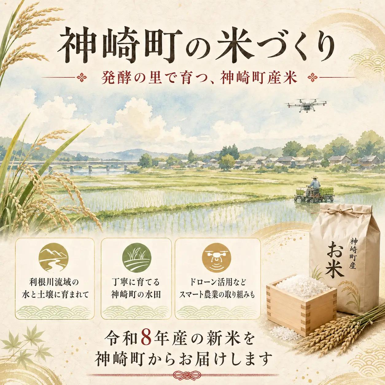 【ふるさと納税】【令和8年産 新米先行予約】米 20kg 千葉県神崎町産 ふさこがね 白米（5kg×4袋） 早場米 冷めてもおいしい お弁当 おにぎり たっぷり 家庭用 [025-a016]