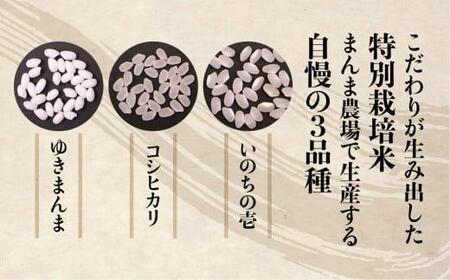 【定期便 3ヶ月】（全3回）【定期便 3ヶ月】飛騨ゆきまんま 5kg 特別栽培米 岐阜県産 令和8年産 新米 | 特別栽培米  特別優秀賞受賞農家 飛騨高山 まんま農場 LT103