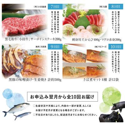 ふるさと納税 南さつま市 【定期便】海幸山幸どきどき定期便(全10回) |  | 03