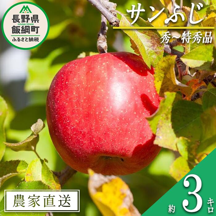 【ふるさと納税】 りんご サンふじ 秀 〜 特秀 3kg 松澤農園 沖縄県への配送不可 令和7年度収穫分 長野県 飯綱町 〔 信州 果物 フルーツ リンゴ 林檎 長野 12000円 予約 農家直送 〕発送時期：2025年11月下旬〜2026年2月上旬 {***}
