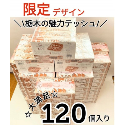 
＜120箱入り＞大満足パック栃木の魅力ティッシュボックス150w×120箱※配送不可地域:離島・沖縄【1454537】
