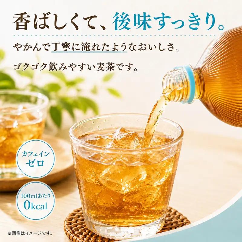爽健美茶 やかん 2L 定期便 3ヶ月 麦茶 コカ・コーラ 