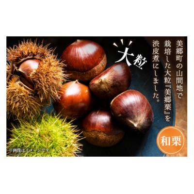 ふるさと納税 美郷町 和菓子 渋皮煮入り 栗ぜんざい 150g×4袋 春夏秋冬いっつもや [31ab0092] |  | 01