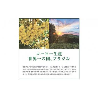ふるさと納税 堺市 【豆】#901 ブラジル カルモデミナス Qグレード コーヒー豆 310g |  | 03