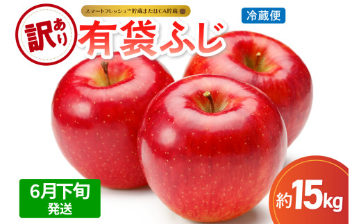 【2026年6月下旬発送】【訳あり】りんご15kg有袋ふじ【スマートフレッシュTM貯蔵またはCA貯蔵・クール便】