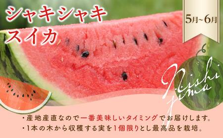 【全4回】季節 の フルーツ 定期便 | ﾌﾙｰﾂﾌﾙｰﾂﾌﾙｰﾂﾌﾙｰﾂ 定期便