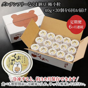 グルテンフリーなくま納豆　30個入り 納豆カップ 極小粒 40g×30個 【6ヶ月連続お届け】