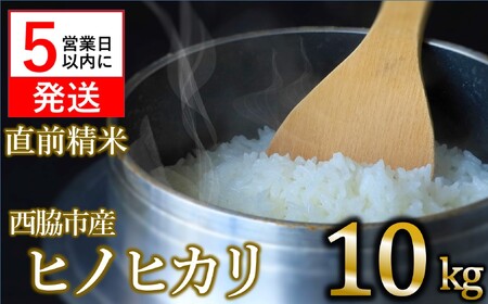 【数量限定】令和6年産 ヒノヒカリ 白米10kg　【5営業日以内発送】　(22-65)