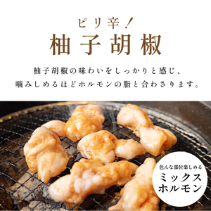 国産黒毛和牛 タレ漬けホルモンミックス柚子胡椒250g x 4袋 おいしいホルモン グルメホルモン やっぱりホルモン ホルモン 焼肉用 肉 小分け 冷凍 ギフト 大容量 MSK026