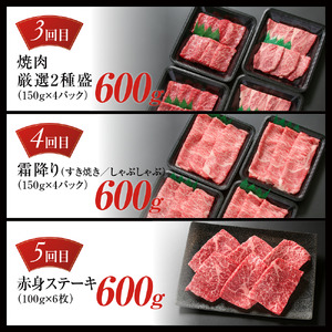 【定期便】飛騨牛 全５回（焼肉・すき焼き・ステーキ）計3kg | 焼肉 ステーキ カルビ 食べ比べ 牛 定期 飛騨高山ミート S857