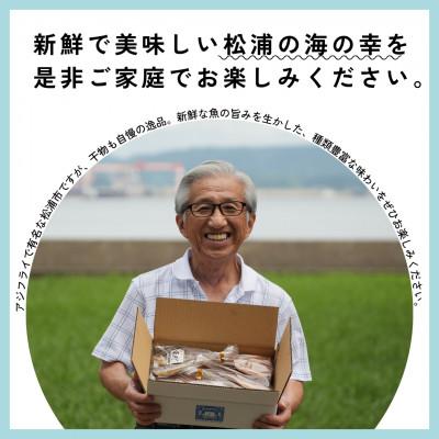 ふるさと納税 松浦市 松浦・潮風のたより【Mini】干物セット 1点 |  | 01