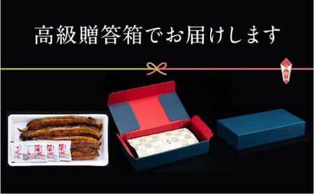 【浜名湖産】朝じめ うなぎ 溶岩焼き 蒲焼き 3尾（約140g×3尾）