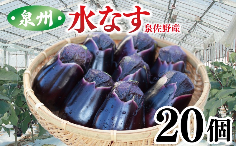 099H4104 泉州 泉佐野市産 ハウス水なす 20個 夏旬の水なすを冬にどうぞ｜【茄子 泉佐野産 とれたて 新鮮野菜 やさい 高評価 数量限定】