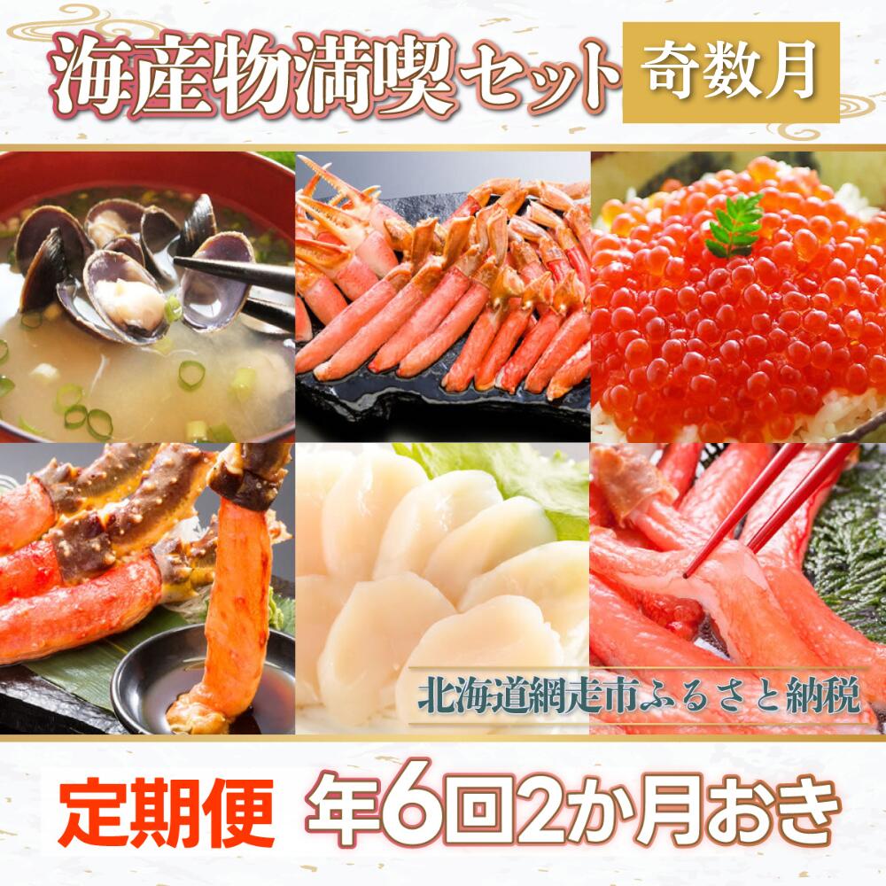 【ふるさと納税】【定期便】全6回（2ヶ月おき）海産物満喫セット奇数月（網走加工） 【 ふるさと納税 人気 おすすめ ランキング しじみ シジミ 蜆 貝 かに カニ 蟹 ズワイ タラバ ズワイ ほたて ホタテ 帆立 いくら イクラ 定期便 北海道 網走市 送料無料 】 ABE020