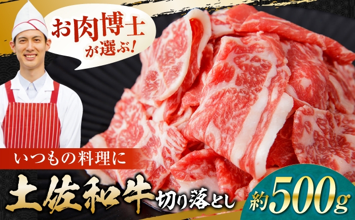 
                  高知県産 土佐和牛 切り落とし 炒め物 すき焼き用 約500g 国産 牛肉 切落し すきやき  【(有)山重食肉】 [ATAP094]
                