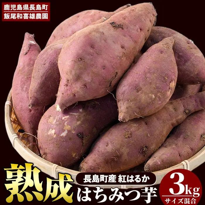 【12月中旬以降発送】〈数量限定〉和喜雄さんといつみさんのはちみつ芋(計3kg)【飯尾和喜雄農園】iio-7086