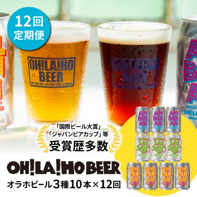 【12回定期便】オラホビール3種飲み比べ10本セット