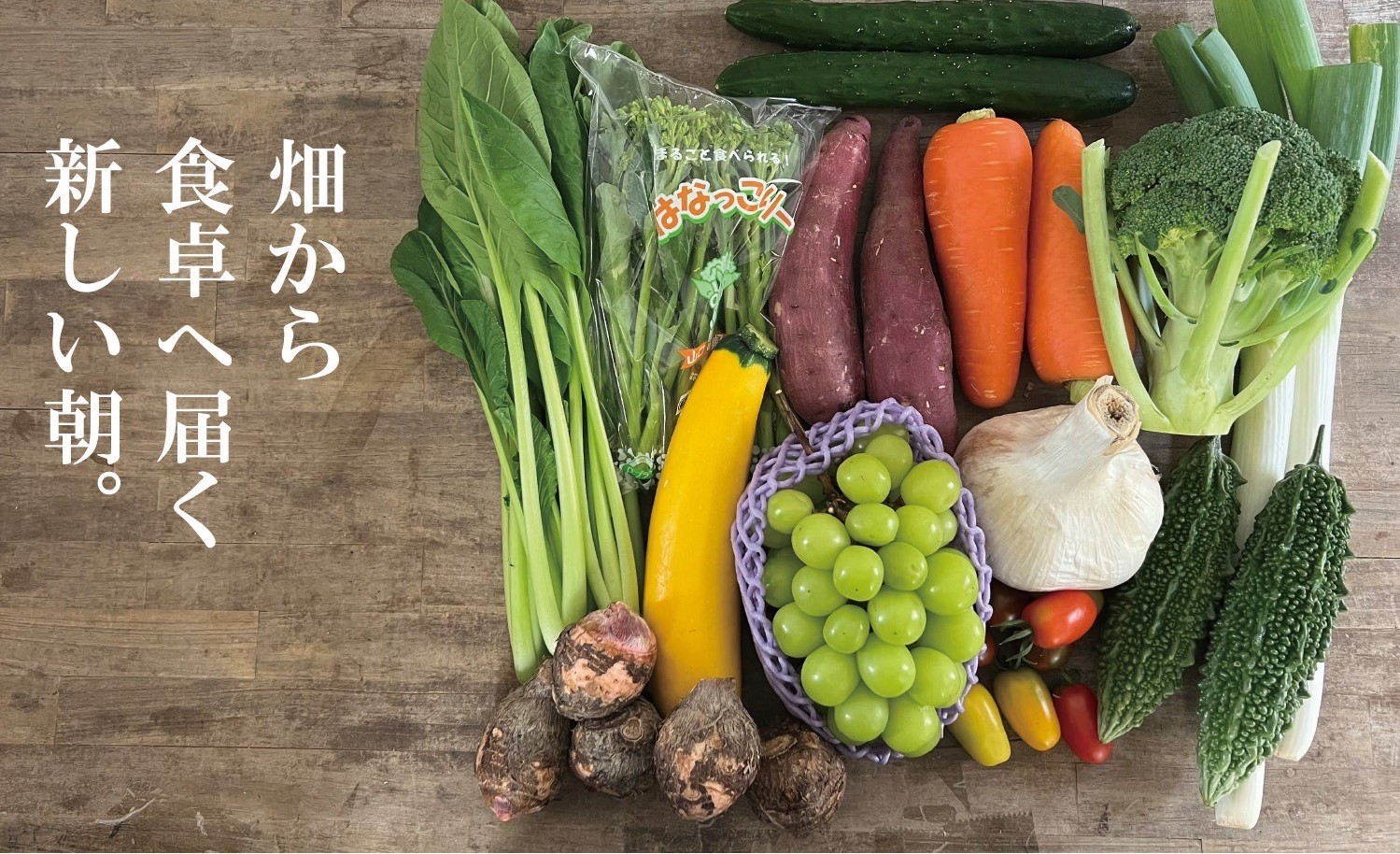 
                  B111 山野りんりんオリジナルボックスで送る旬の野菜とフルーツ定期便（年3回）
                