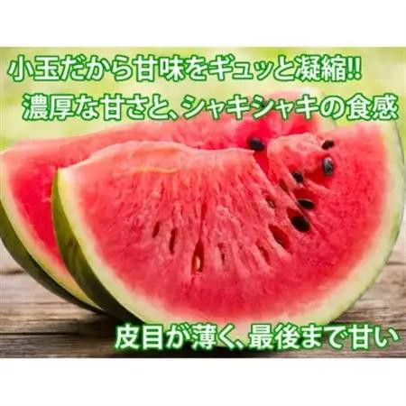 小玉すいか 秀品 2玉 約2～3kg【2027年5月下旬～7月下旬発送予定】【1586188】