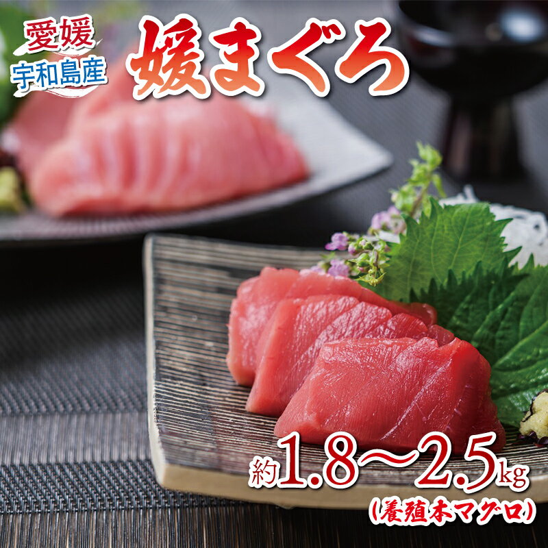 【ふるさと納税】 本マグロ ブロック 媛まぐろ 1.8kg~2.5kg ダイニチ マグロ 赤身 中トロ 大トロ 部位 指定不可 マグロ 国産マグロ 養殖マグロ クロマグロ 鮪 刺身 漬け ネギトロ アレンジ可 人気 海鮮 魚 魚介 産地直送 数量限定 国産 愛媛 宇和島 D052-031002