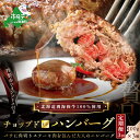 【ふるさと納税】【 年3回 ハンバーグ 定期便 3ヶ月 連続 定期 】「 別海 牛 チョップドイン はんばーぐ 100g×3個 」× 3回 配送（ ふるさと納税 ハンバーグ 訳あり ハンバーグ ふるさと納税 訳あり 牛100% 牛肉100% 牛肉 牛 肉 北海道 国産 3 3ケ月 3ヵ月 3カ月 3か月 ）