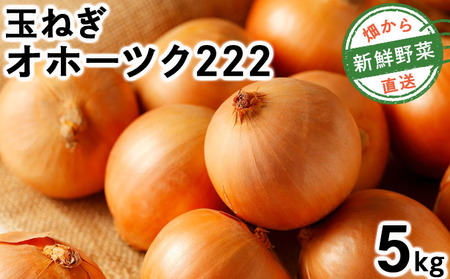 【先行予約】畑から 直送 の 新鮮野菜!玉ねぎ(オホーツク222) 5kg [a168-004] たまねぎ 玉葱 タマネギ国産 産地直送 まとめ買い 業務用 贈り物 甘い 野菜 シャキシャキ 美味しい 北海道 送料無料
