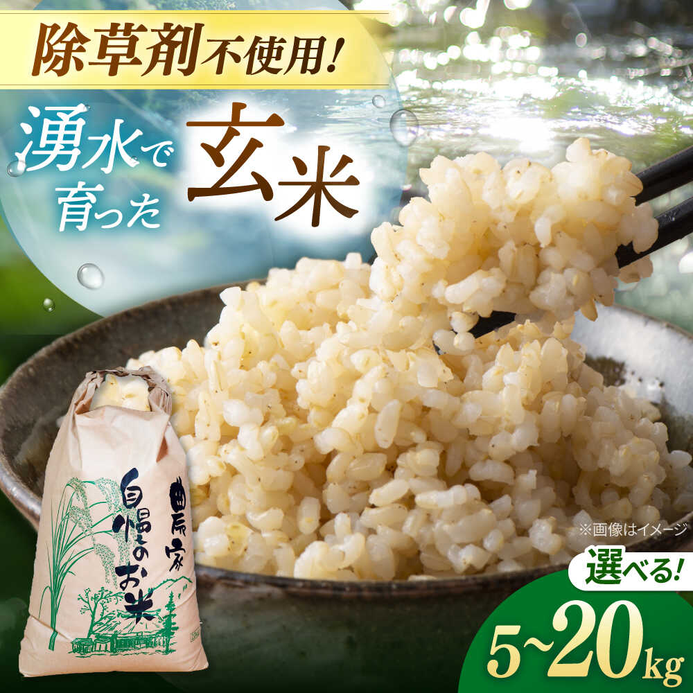 【ふるさと納税】玄米 5kg 10kg 20kg ノガミファームの玄米 ▼米 玄米 人気 福岡県産 九州 米 お米 ご飯 ごはん ゴハン 農家直送 5キロ 10キロ 20キロ 桂川町/NOGAMI FARM[ADAU008] 10000円 以上 1万円 以上