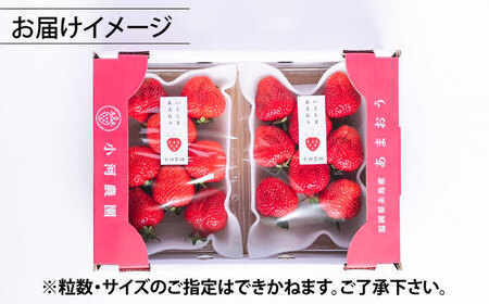 【先行受付】糸島産 完熟あまおう 280g×2パック (デラックスサイズ) 【2027年1月以降順次発送】糸島市 / 小河農園 いちご フルーツ 果物 [AJN001]