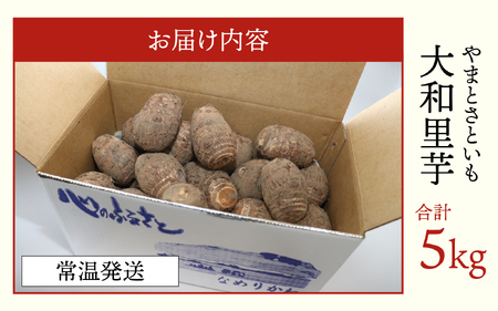 【先行予約】さといも 大和里芋（やまと）5kg【2025年11月上旬順次発送】 | 野菜 芋 イモ 根菜 いも 煮物 旬 味覚 秋